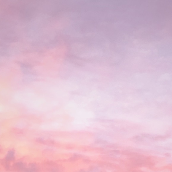 Meet your Posher, Shelby - Picture 1 of 1